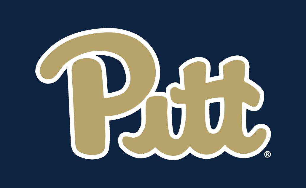 Pittsburgh Panthers 2016-2018 Alternate Logo v2 iron on transfers for clothing